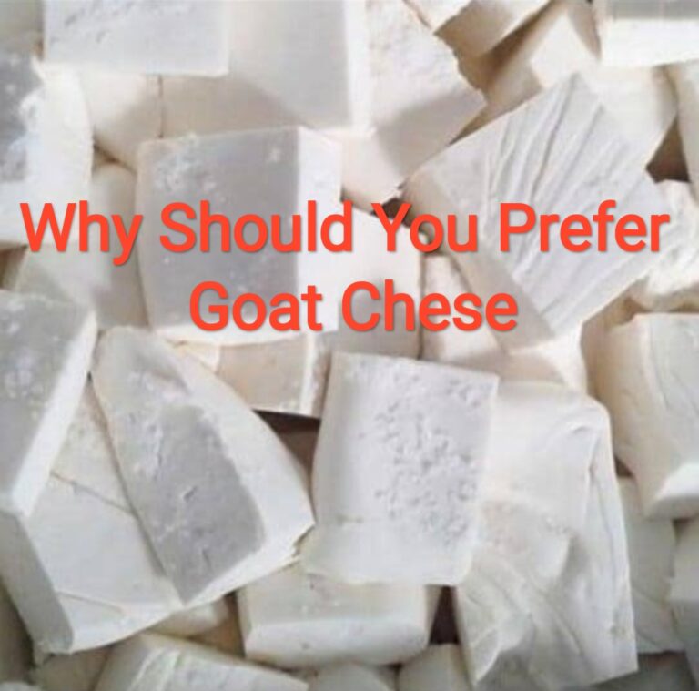 Goat Chese Benefits
